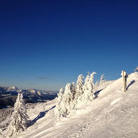 Penzion Wohnen By Lizzy